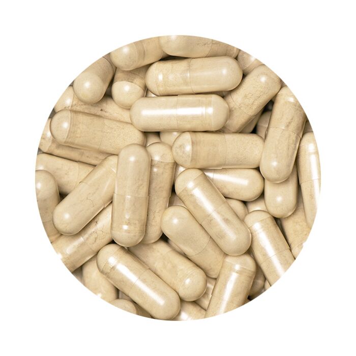 ProBio Complex Gélules