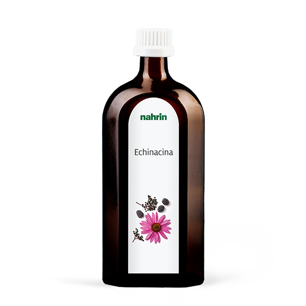 Echinacina liquide